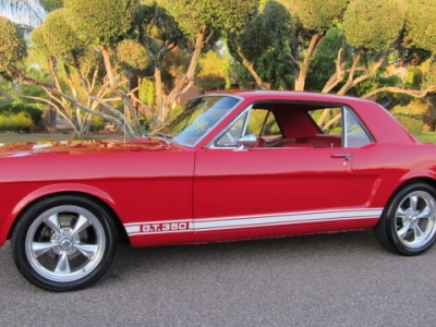 1966 GT 350 Clone Mustang