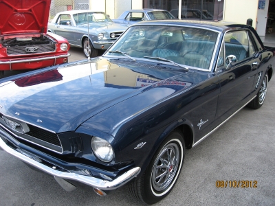 1966 Midnight Blue Mustang