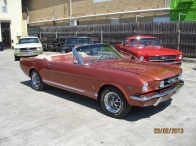 1966 Mustang Convertible Concours Winner