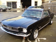 1966 Black Mustang